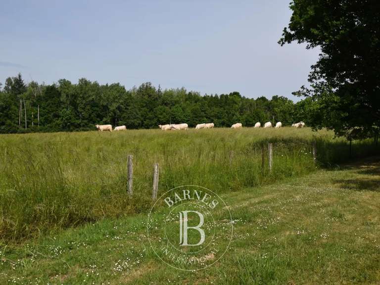 Propriété Yzeure - 11 chambres - 852m²