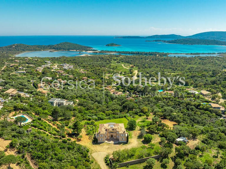 Château Zonza - 7 chambres - 550m²