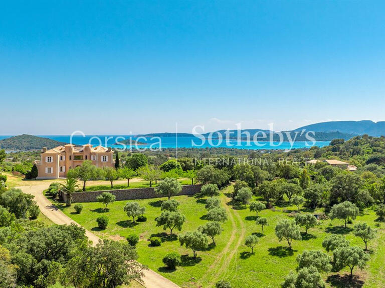 Château Zonza - 7 chambres - 550m²