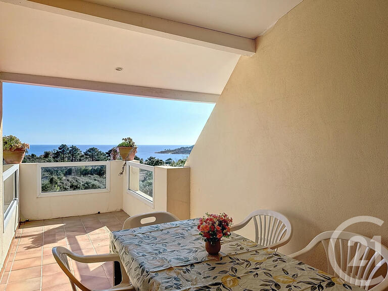 House Zonza - 9 bedrooms - 3m²