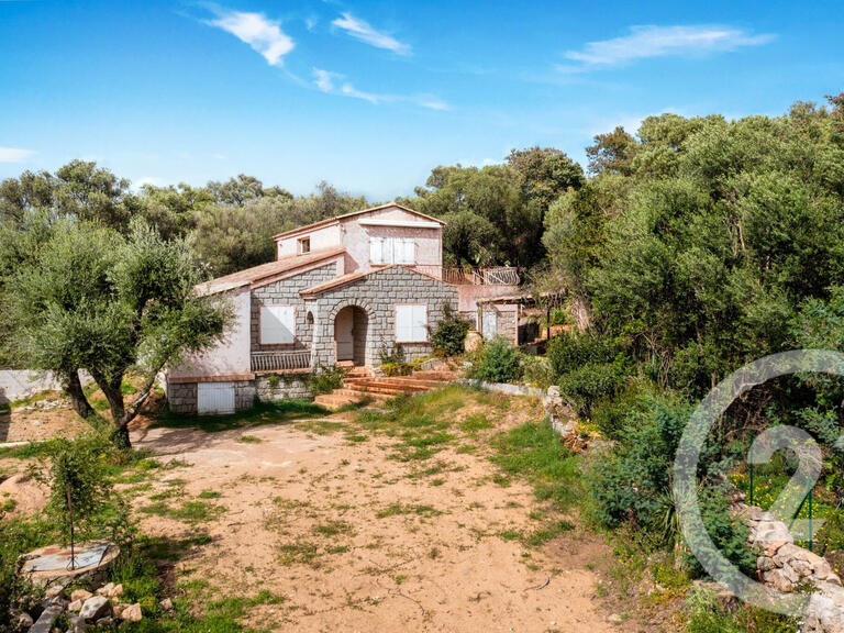 Maison Zonza - 4 chambres - 3m²