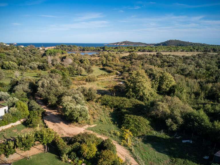 Maison Zonza - 4 chambres - 200m²