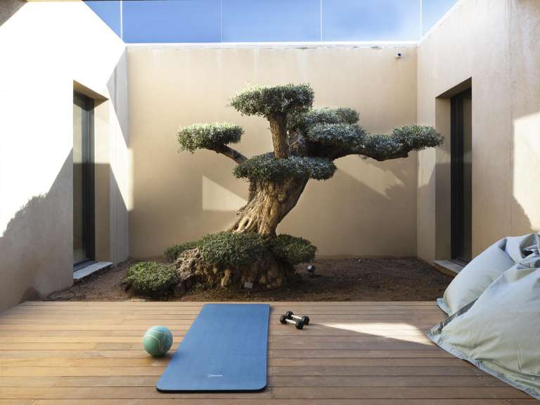 Maison Zonza - 5 chambres - 350m²