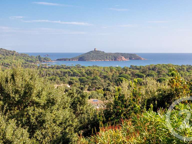 Maison Zonza - 4 chambres - 200m²