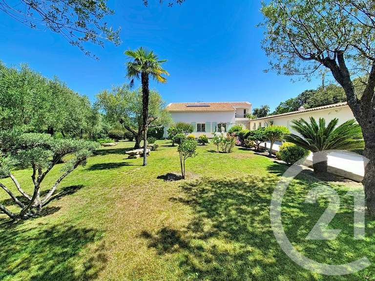 Maison Zonza - 3 chambres - 294m²