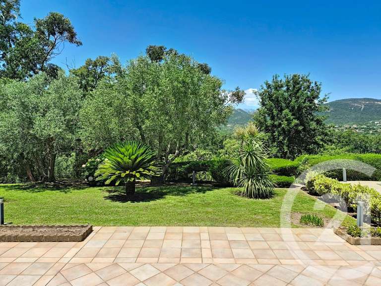 Maison Zonza - 3 chambres - 294m²