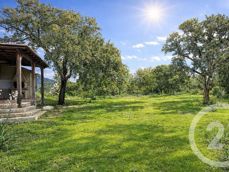 Maison Zonza - 3 chambres - 228m²