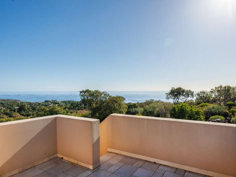 Maison avec Vue sur mer Zonza - 7 chambres - 310m²