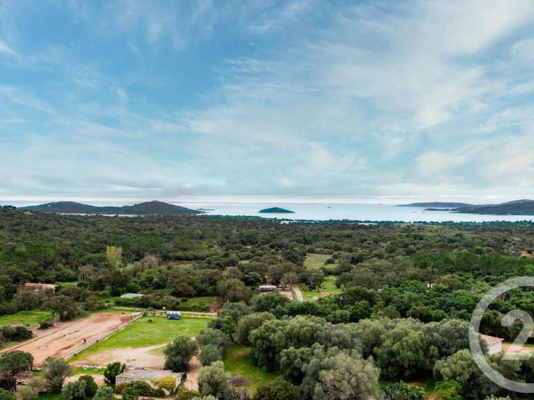 Maison avec Vue sur mer Zonza - 3 chambres - 150m²