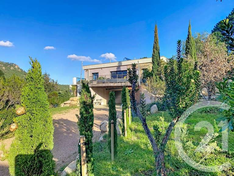 Maison Zonza - 5 chambres - 250m²