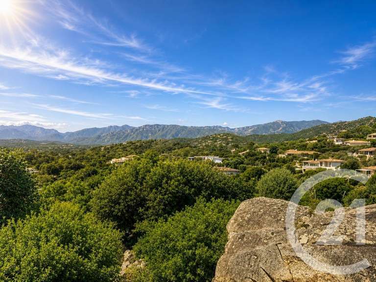 Maison Zonza - 4 chambres - 180m²