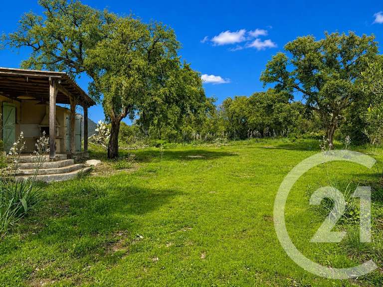 Terrain Zonza - 3640m²