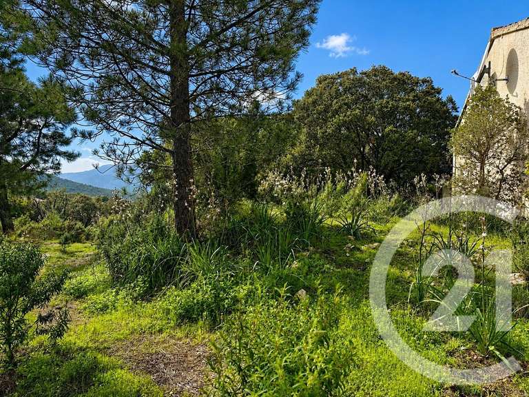 Terrain Zonza - 3640m²