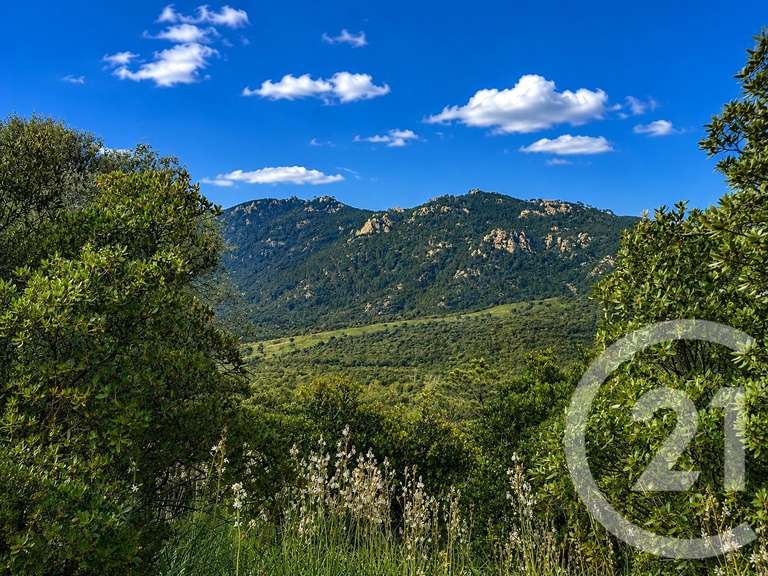 Terrain Zonza - 3640m²