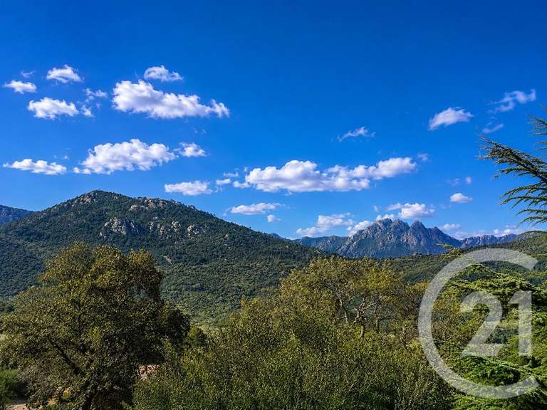 Terrain Zonza - 3640m²