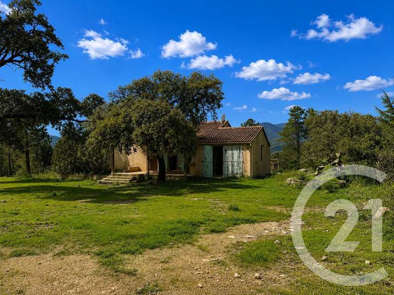 Terrain Zonza - 3640m²