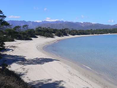 Villa Zonza - 4 chambres - 150m²