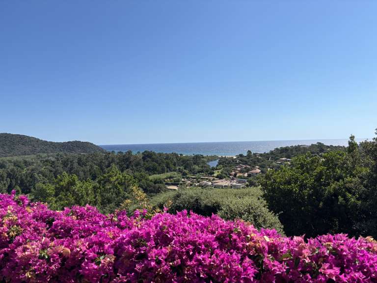 Villa avec Vue sur mer Zonza - 4 chambres - 141m²